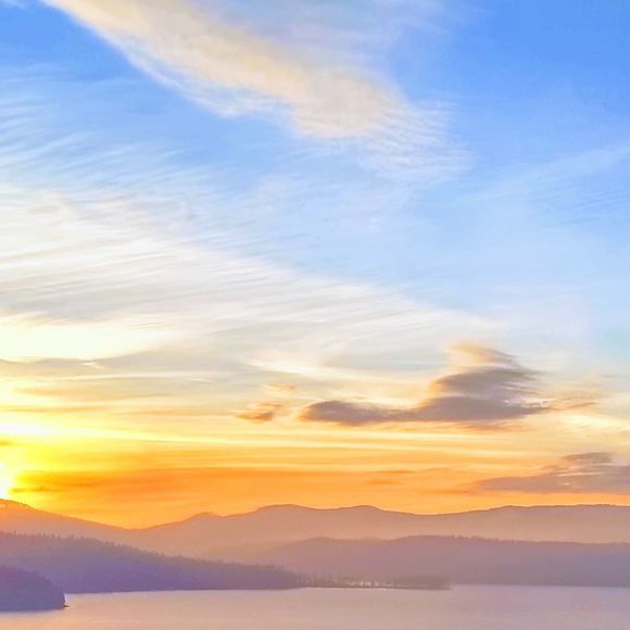 Meet your Posher, Katie - Picture 1 of 1